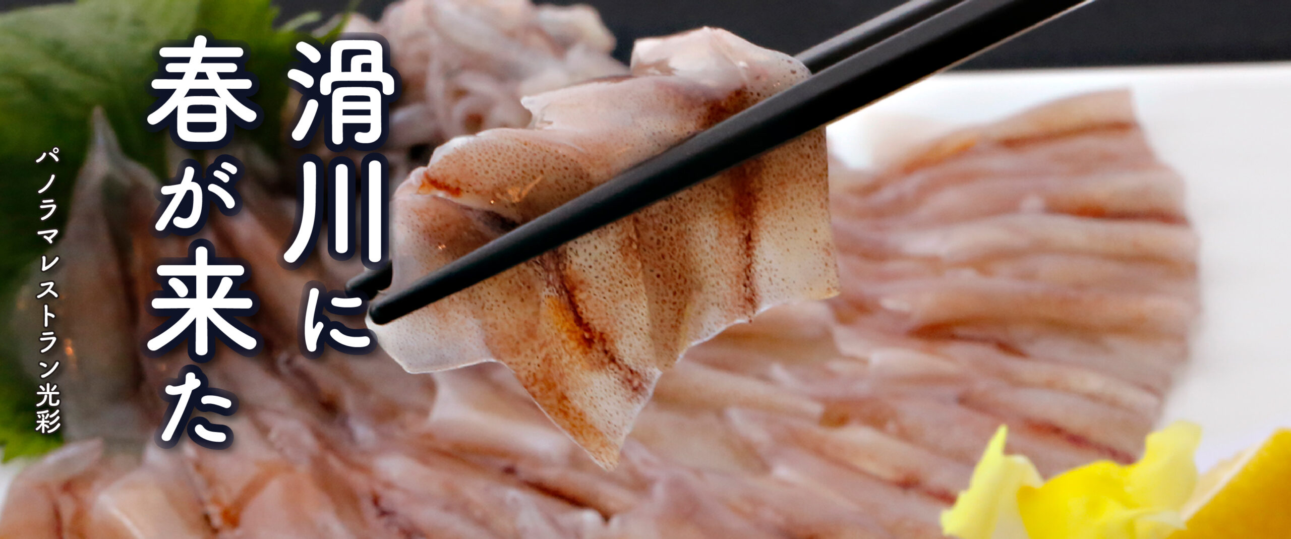 レストラン光彩 蛍烏賊の刺身 レストラン光彩 蛍烏賊の刺身