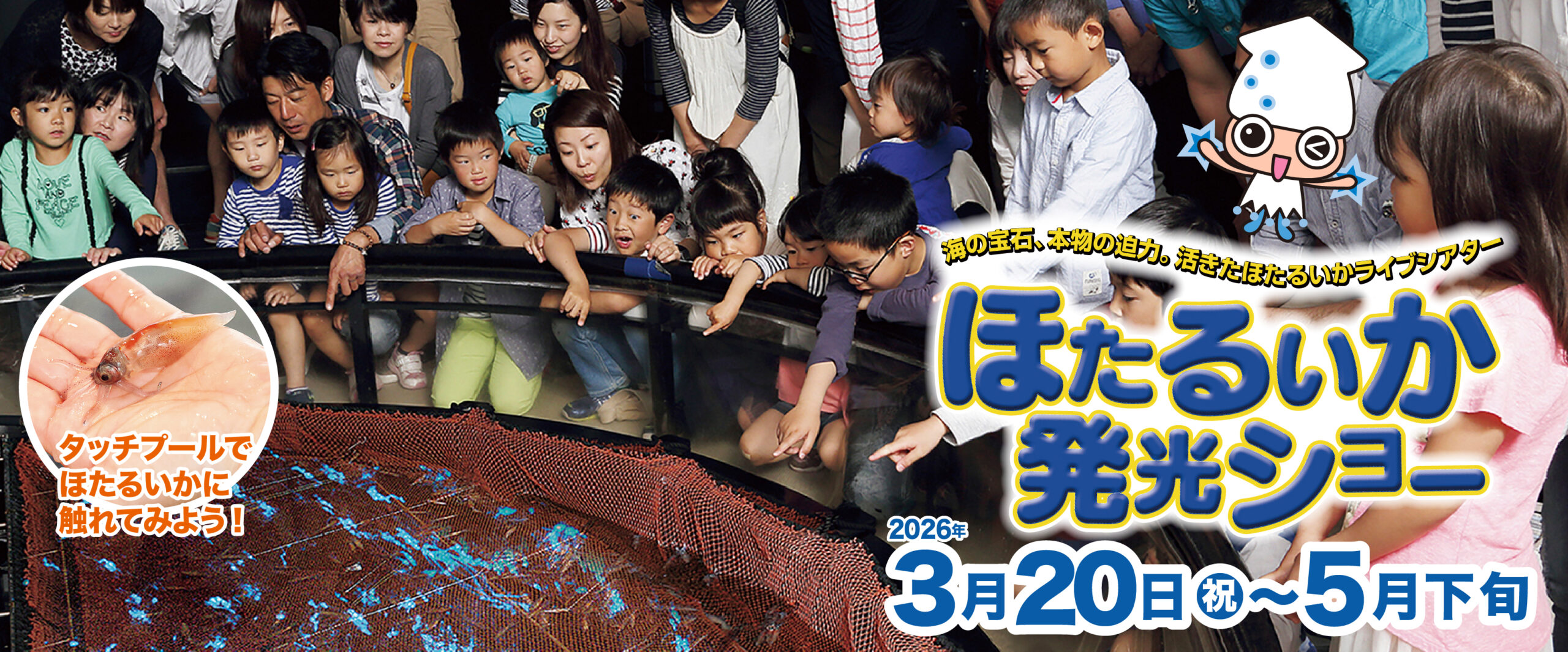 3/20〜活きたほたるいかの発光ショー 3/20〜活きたほたるいかの発光ショー